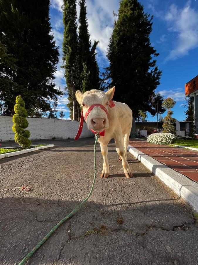 Hosteria El Troje Experience Riobamba Eksteriør billede