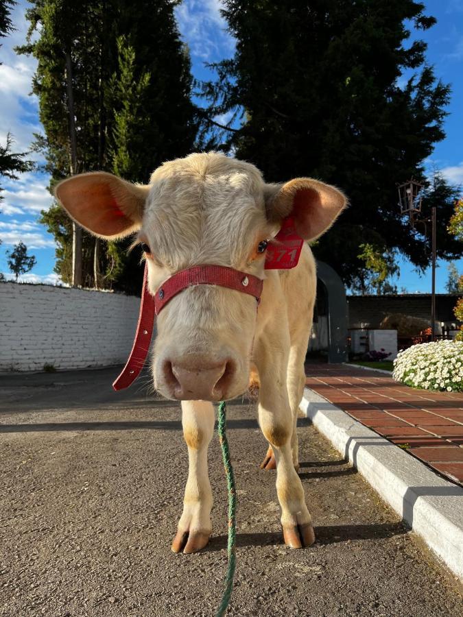 Hosteria El Troje Experience Riobamba Eksteriør billede