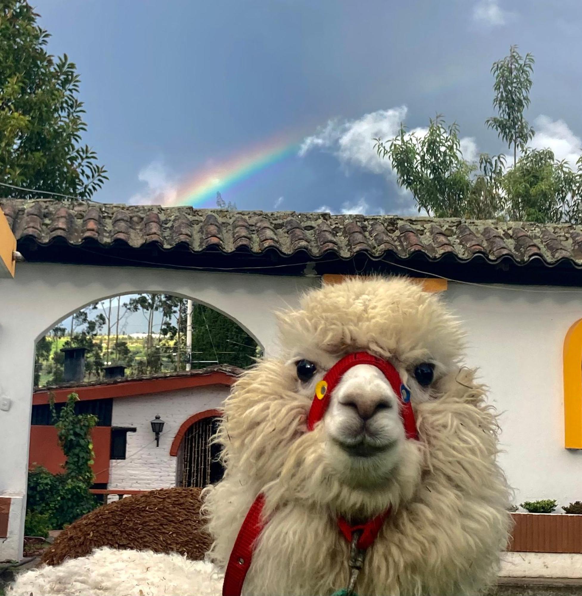 Hosteria El Troje Experience Riobamba Eksteriør billede