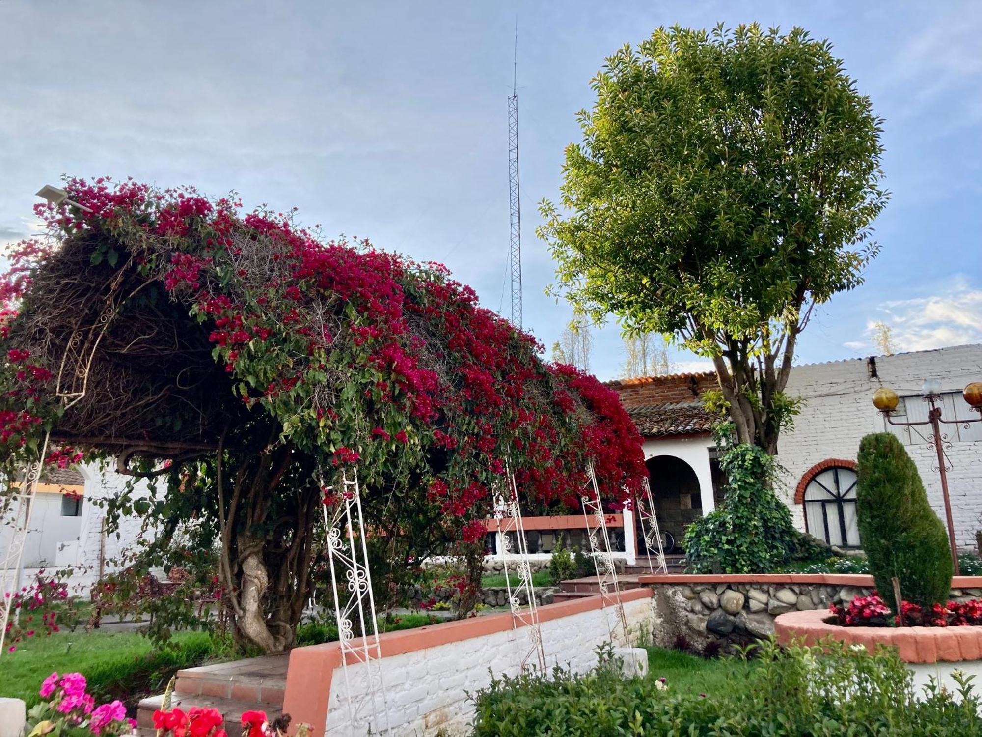 Hosteria El Troje Experience Riobamba Eksteriør billede